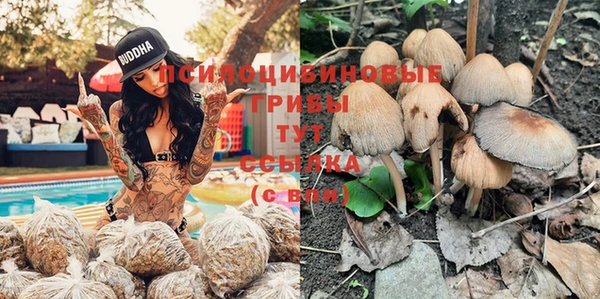 ALPHA-PVP Алексин