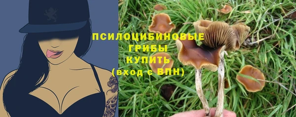 бошки Алексеевка