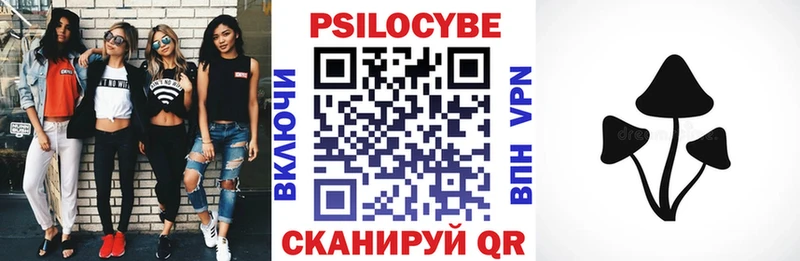 Псилоцибиновые грибы прущие грибы  как найти закладки  Карачев 